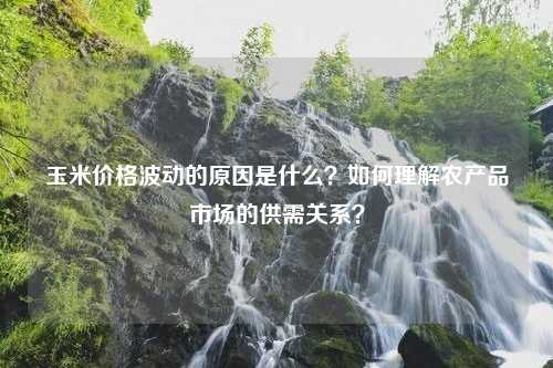 玉米价格波动的原因是什么？如何理解农产品市场的供需关系？