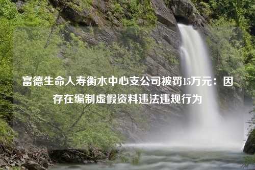 富德生命人寿衡水中心支公司被罚15万元：因存在编制虚假资料违法违规行为