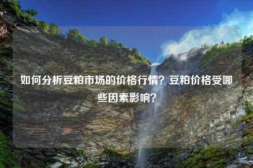 如何分析豆粕市场的价格行情？豆粕价格受哪些因素影响？